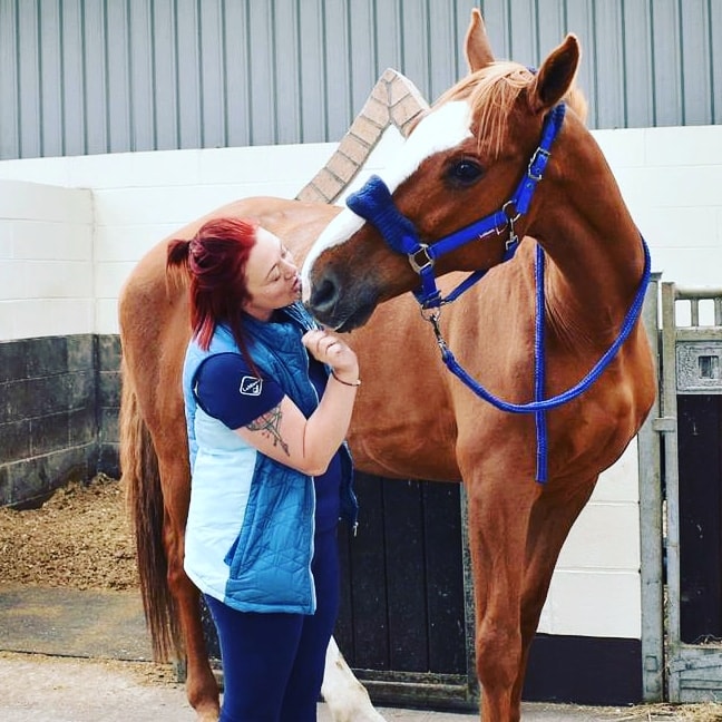 A quiet moment with a chestnut horse