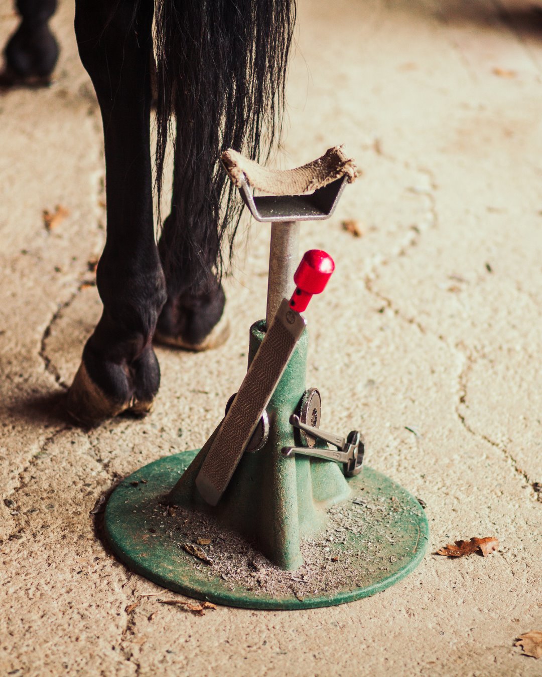 Farrier — a mobile equestrian pro at work